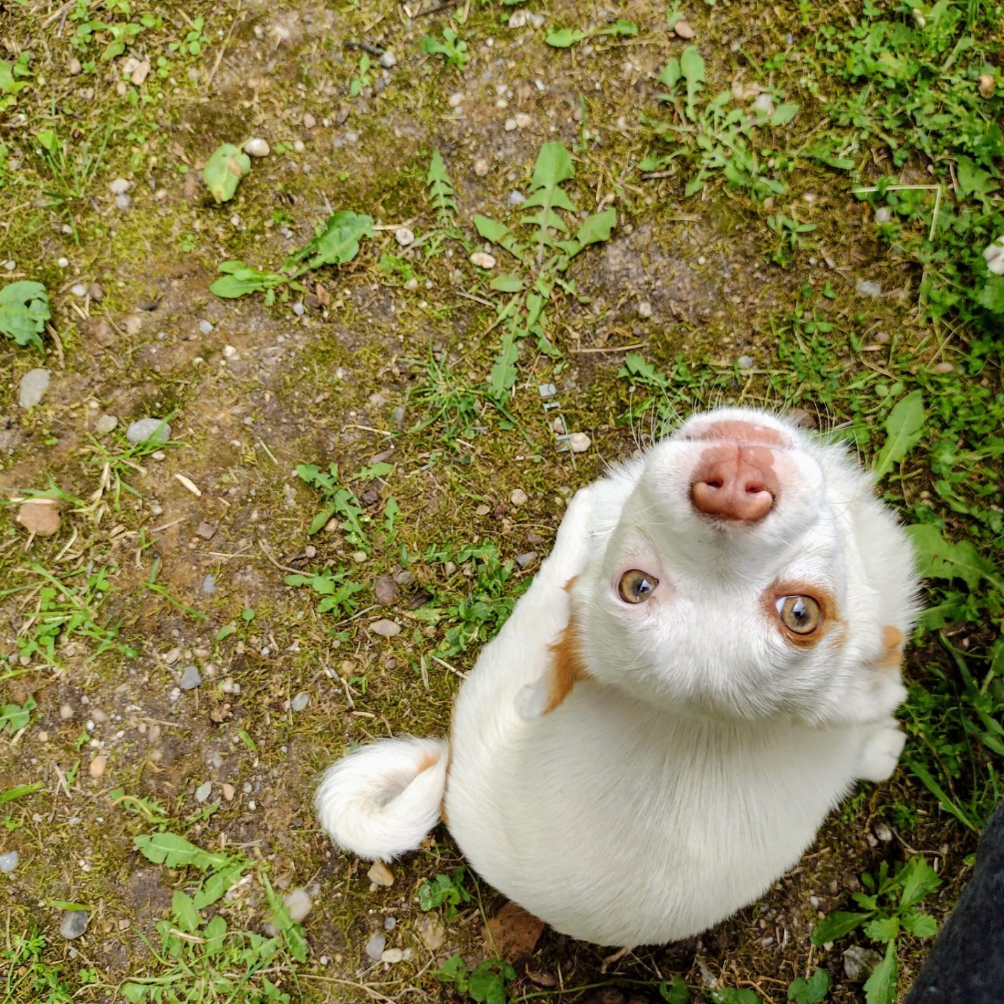 când ai ceva de spus